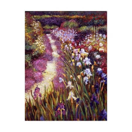 David Lloyd Glover 'Iris Garden Path' Canvas Art,14x19